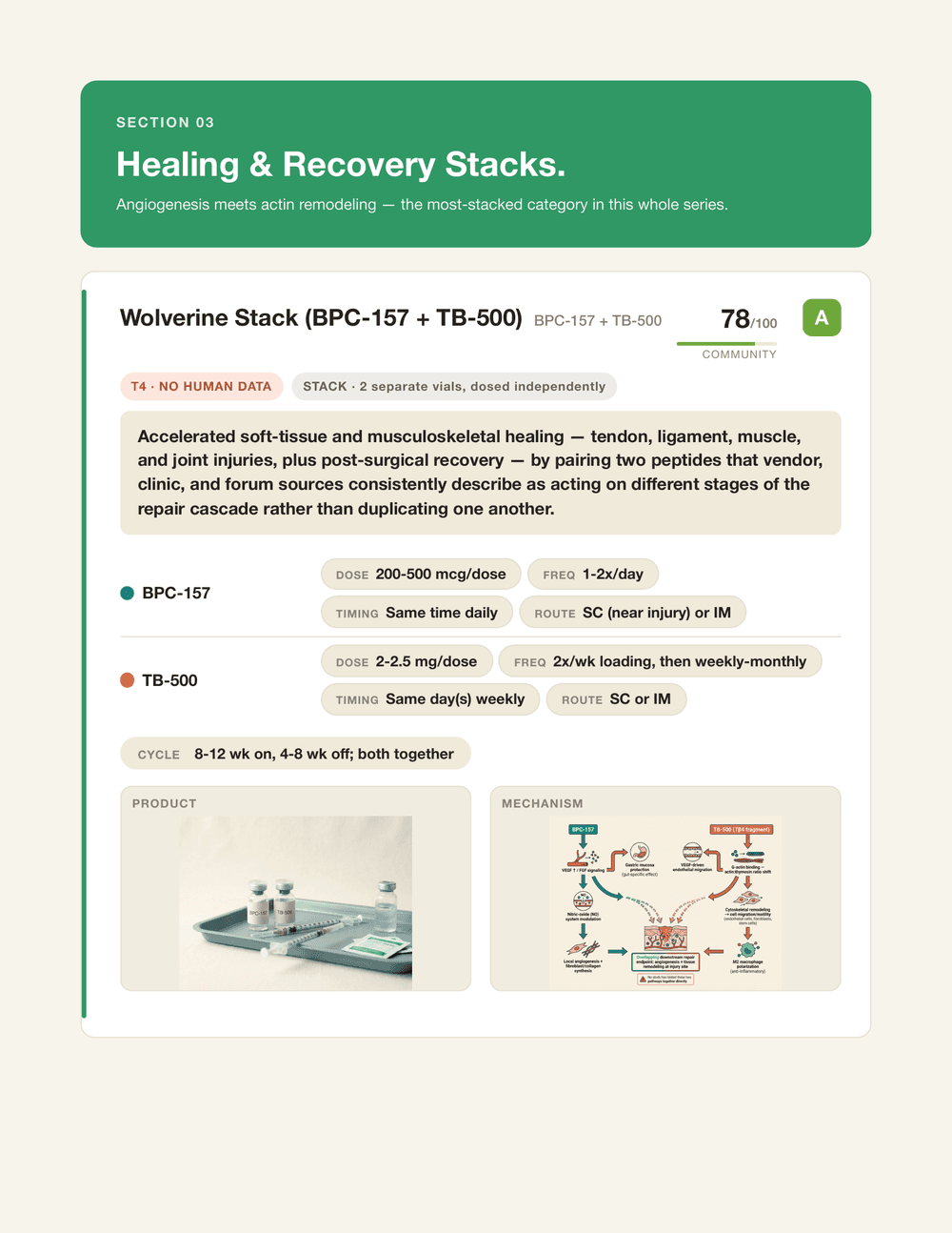 Full page 19 of Book Two: the Healing & Recovery Stacks section banner above the complete Wolverine Stack card for BPC-157 and TB-500 — evidence and format pills, mechanism summary, per-compound dosing pills, cycle pill, product photograph, and labelled mechanism diagram.