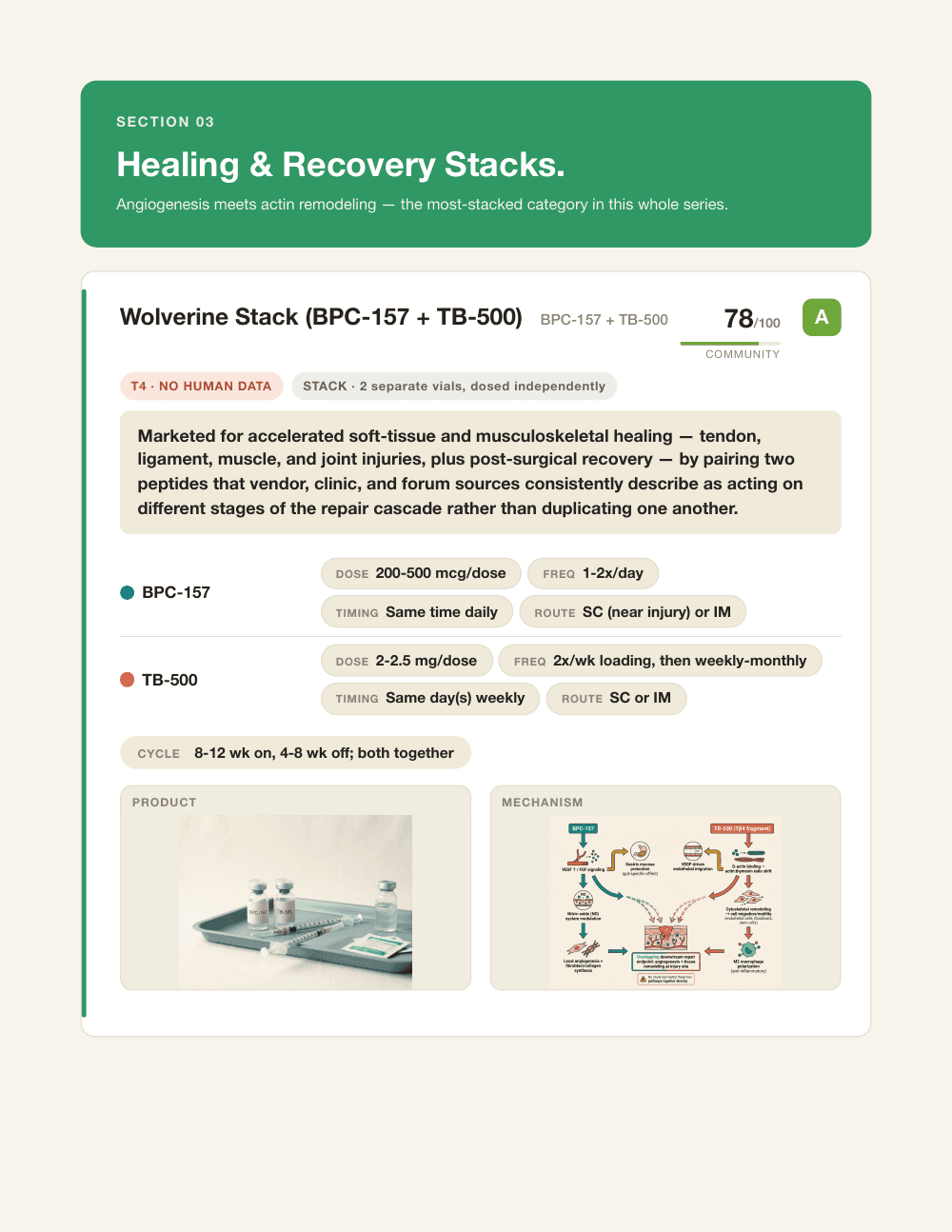 Full page 25 of Book Two: the Healing & Recovery Stacks section banner above the complete Wolverine Stack card for BPC-157 and TB-500 — evidence and format pills, mechanism summary, per-compound dosing pills, cycle pill, product photograph, and labelled mechanism diagram.